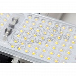 SANlight EVO Led 1.5 for crop production 3
